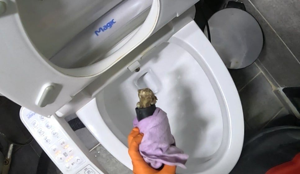 변기에서 꺼낸 뼈